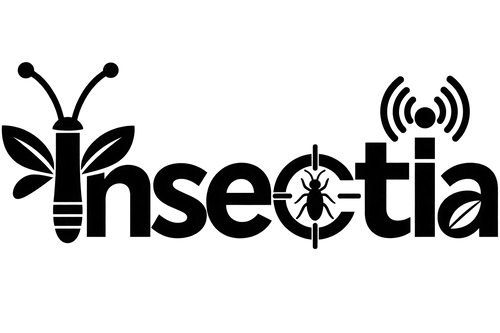 Elyra